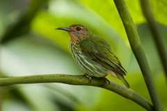 023-burgerszoo2013aug