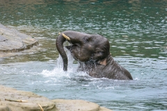 012-wildlands2016mrt