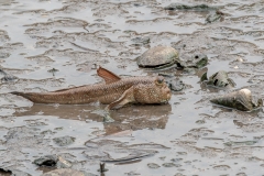 015-singapore2019feb28