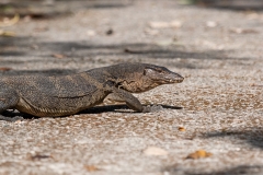 010-singapore2019mrt07